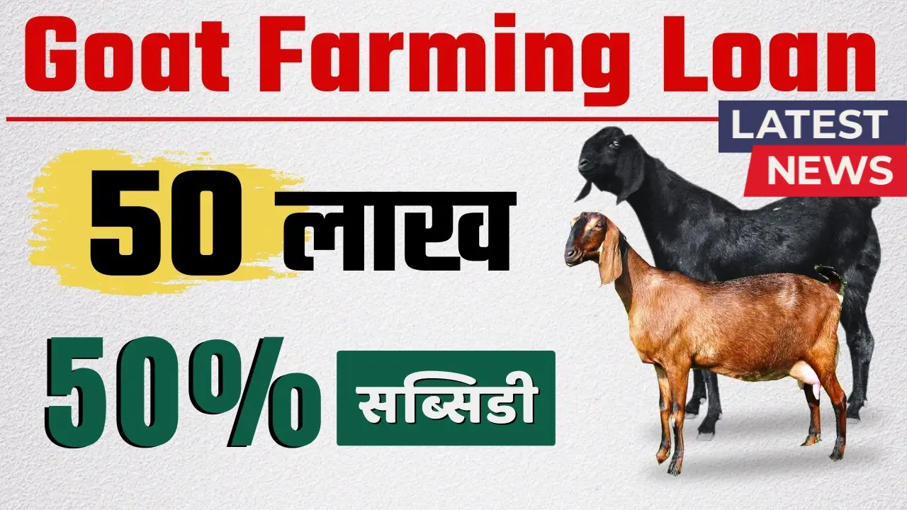 Goat Farming Loan Yojana 2025