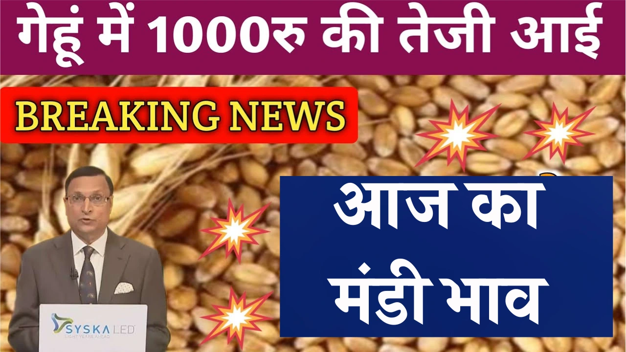 Latest mandi rates